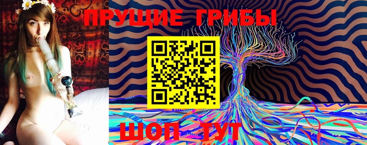 Псилоцибиновые грибы Magic Shrooms  Псилоцибиновые грибы ЛСД  Татарск  Вход с VPN 